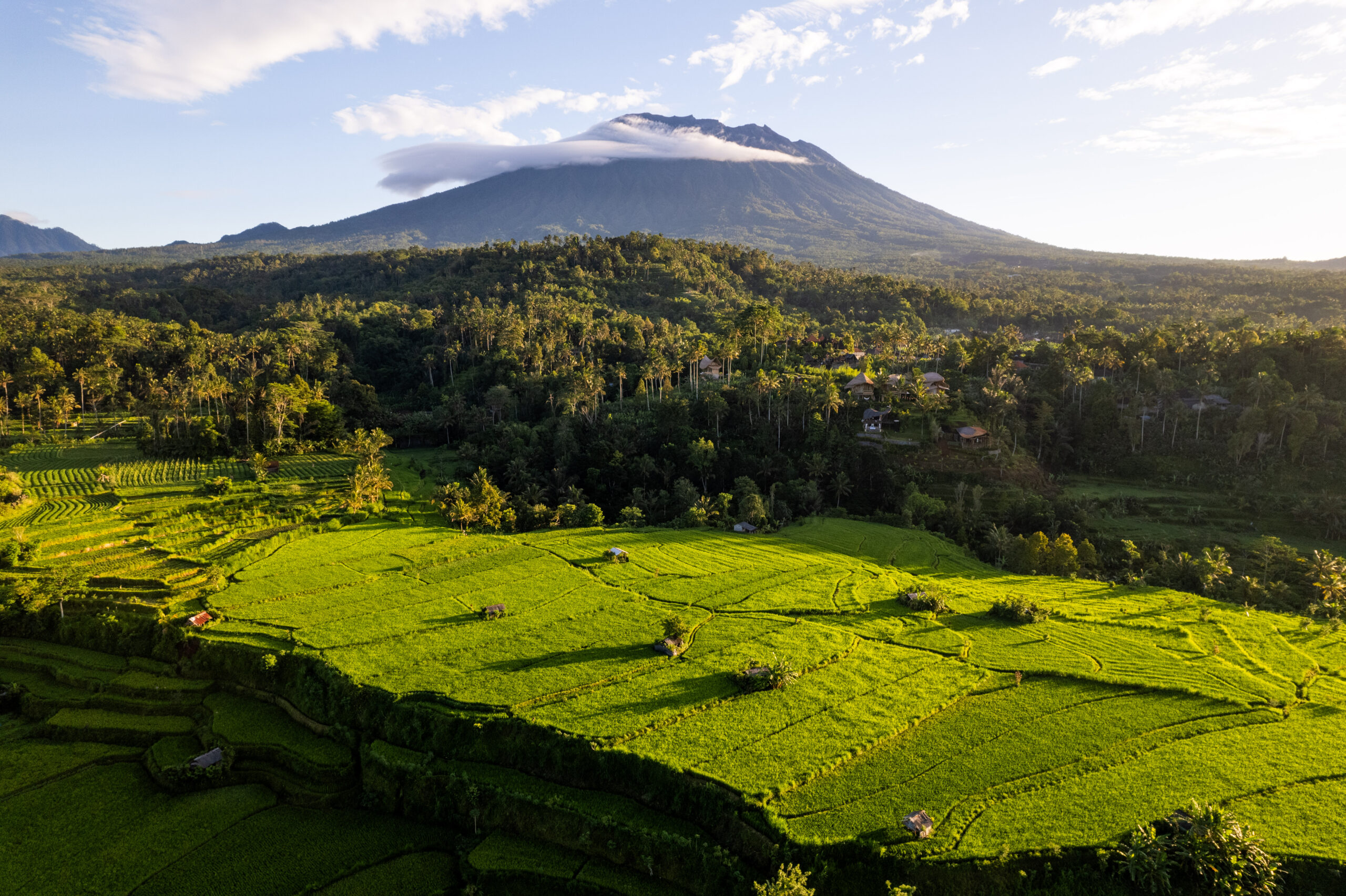 Rice field s in Bali. Bali mount. Morning in Bali