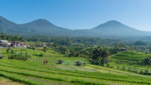 Read more about the article What to See in One Day Trip in Bali?