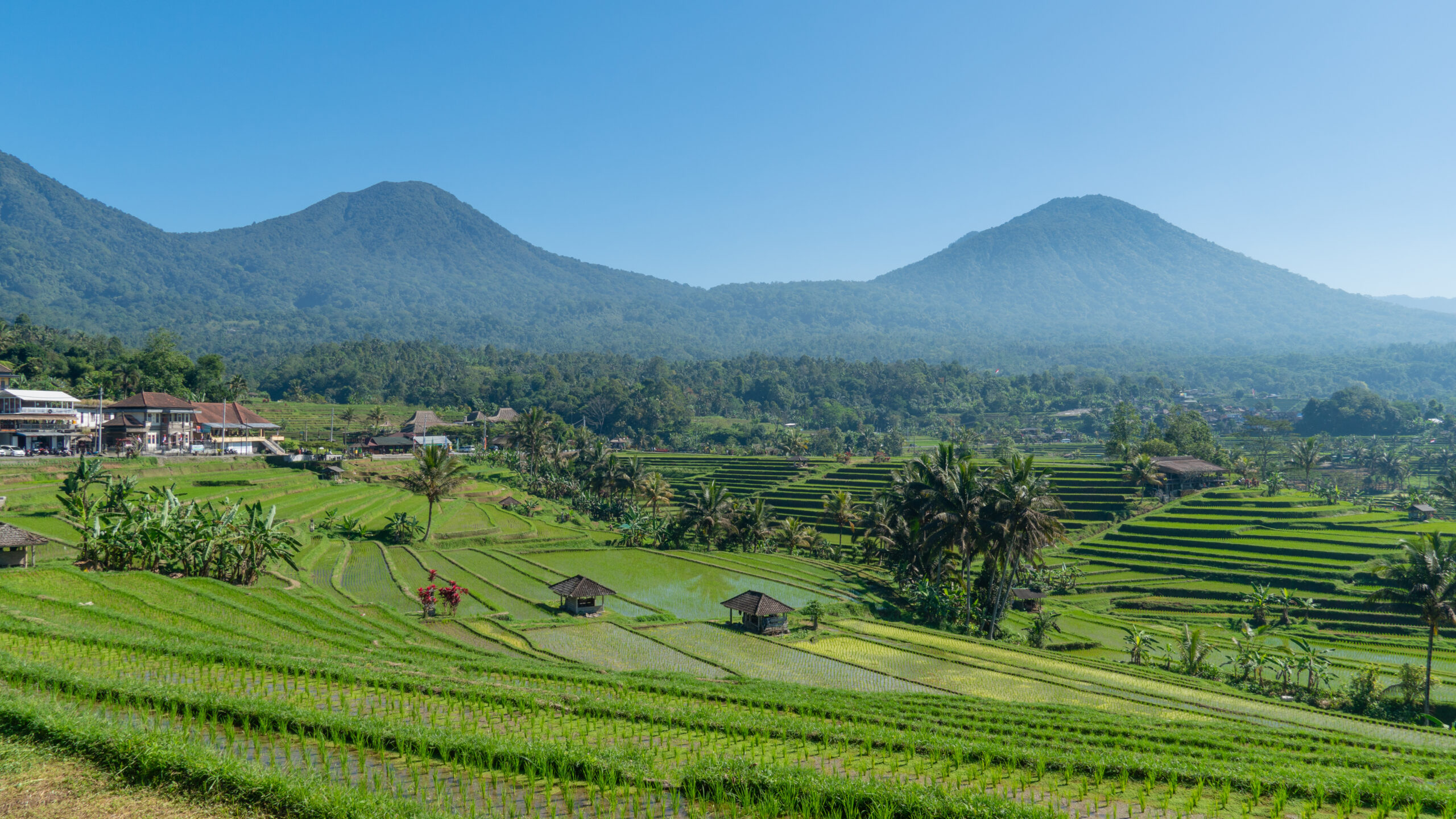 You are currently viewing What to See in One Day Trip in Bali?