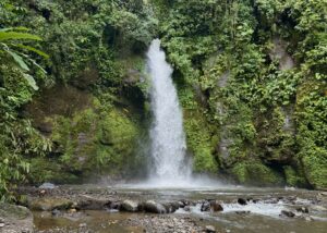Read more about the article Goa Gong Waterfall in Bali: A Hidden Gem in North Badung